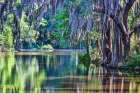 USA- South Carolina- Charleston. Magnolia Plantation Art Print